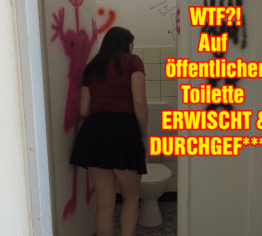 WTF?!! Auf öffentlicher Toilette erwischt und durchgefickt!