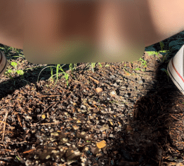 Ich PISSEN auf einem Waldweg